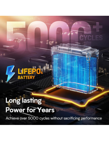 Batería LiFePO4 GOLDENMATE 12V 20Ah Impermeable IP67