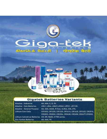 Batería Alcalina 9V Giga-tek Zinc-01 - Paquete de 1
