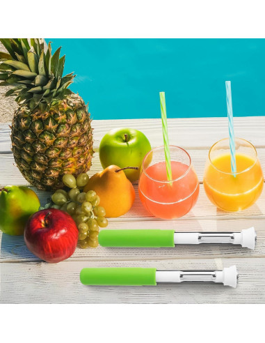 2 Piezas Descorazonador y Pelador de Manzanas HooYiYuuX