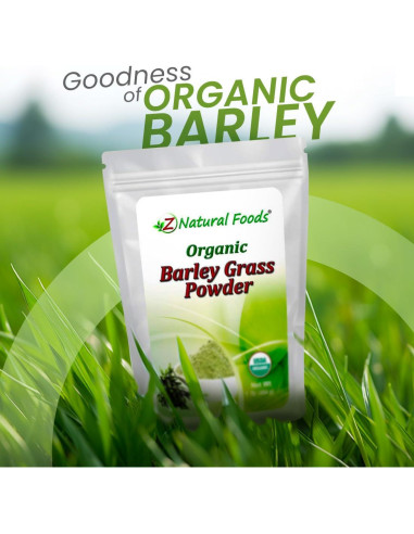 Polvo de Césped de Cebada Orgánico Z Natural Foods 453.6g