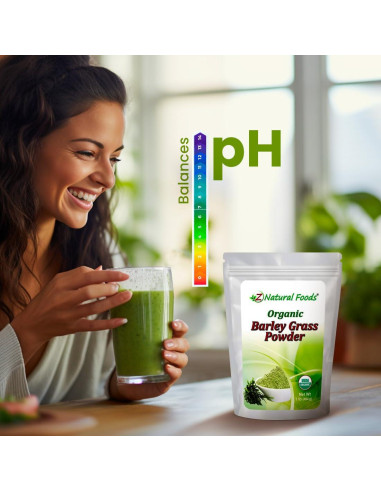 Polvo de Césped de Cebada Orgánico Z Natural Foods 453.6g
