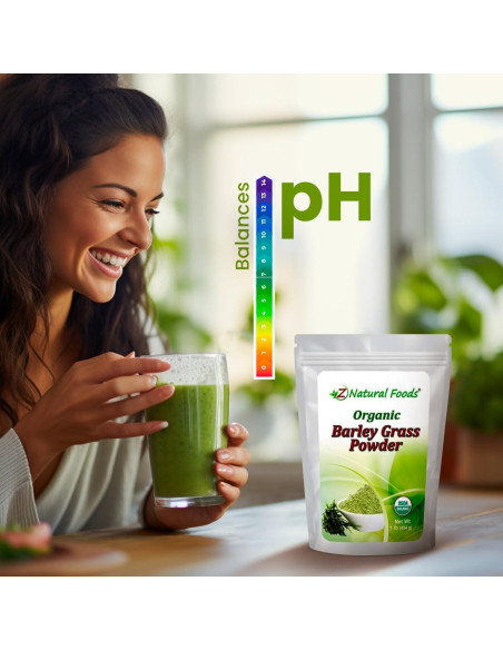 Polvo de Césped de Cebada Orgánico Z Natural Foods 453.6g
