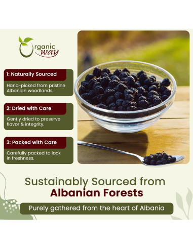 Chokeberries Orgánicas Enteras Forma Orgánica 113.4g - Sin Gluten