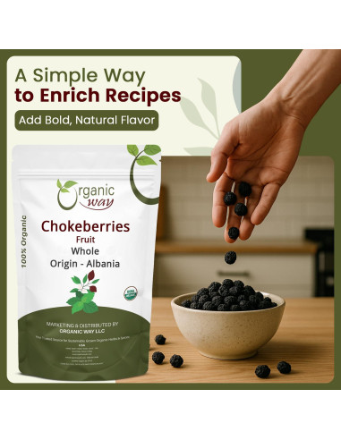 Chokeberries Orgánicas Enteras Forma Orgánica 113.4g - Sin Gluten