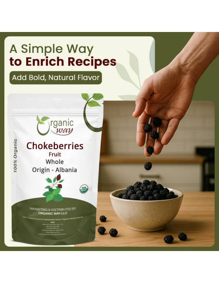 Chokeberries Orgánicas Enteras Forma Orgánica 113.4g - Sin Gluten