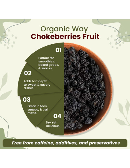 Chokeberries Orgánicas Enteras Forma Orgánica 113.4g - Sin Gluten