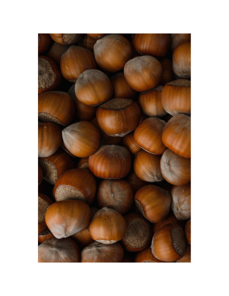 Aceite de Avellana Dr Joe Lab 453.6 g Puro Prensado en Frío