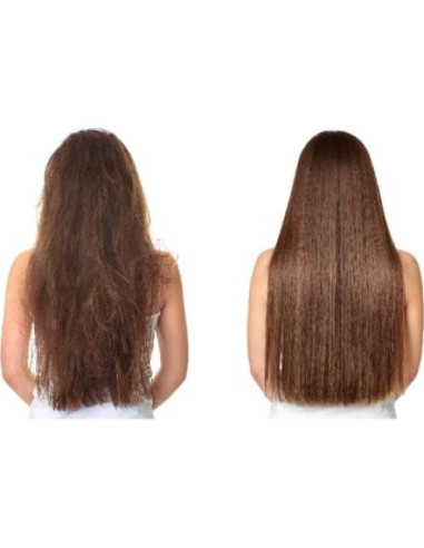 Aceite de Avellana Dr Joe Lab 453.6 g Puro Prensado en Frío