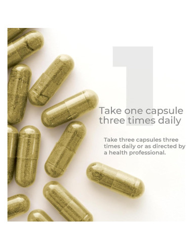 Cápsulas de Noni Orgánico Premier Research Labs - 60 Unidades