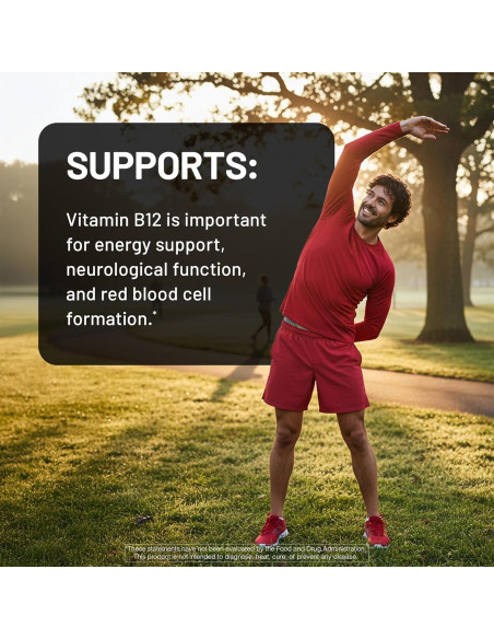 NatureWise Vitamina B12 500 mcg - Suplemento Vegano Energía