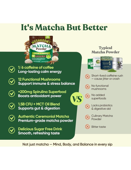 Matcha Ceremonial Venture Pal 165g con 12 Superfoods y Probioticos