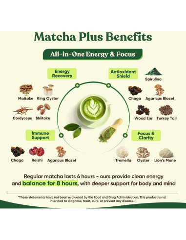 Matcha Ceremonial Venture Pal 165g con 12 Superfoods y Probioticos