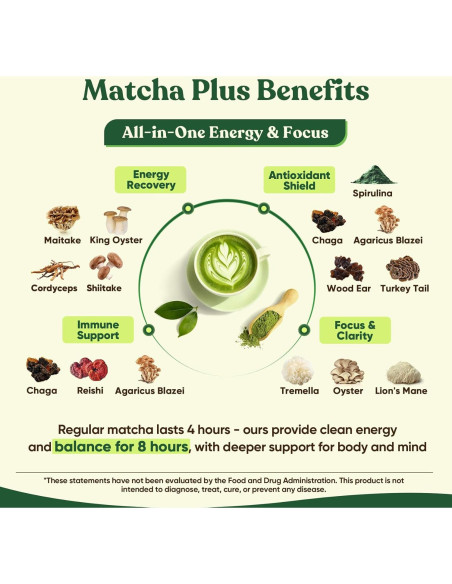 Matcha Ceremonial Venture Pal 165g con 12 Superfoods y Probioticos