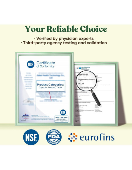 Matcha Ceremonial Venture Pal 165g con 12 Superfoods y Probioticos