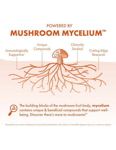 Host Defense Breathe Polvo 136 g - Suplemento Inmunológico y Respiratorio