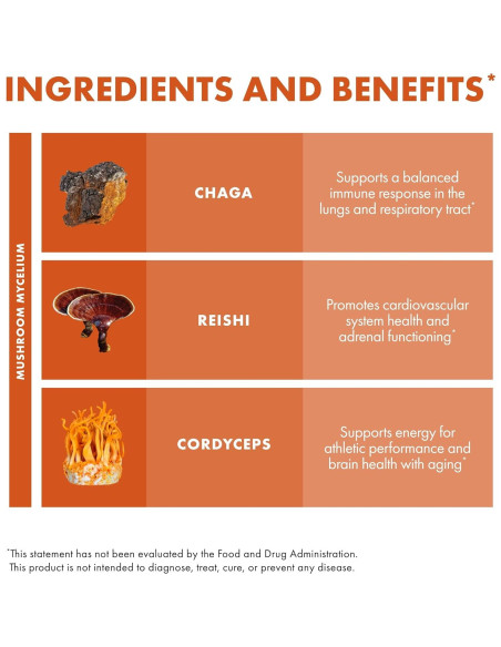 Host Defense Breathe Polvo 136 g - Suplemento Inmunológico y Respiratorio