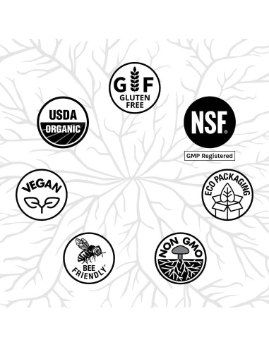 Host Defense Breathe Polvo 136 g - Suplemento Inmunológico y Respiratorio