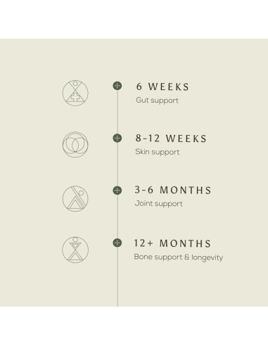 Colágeno Bovino Premium Ancient + Brave 200g - Tipo I - Piel y Articulaciones