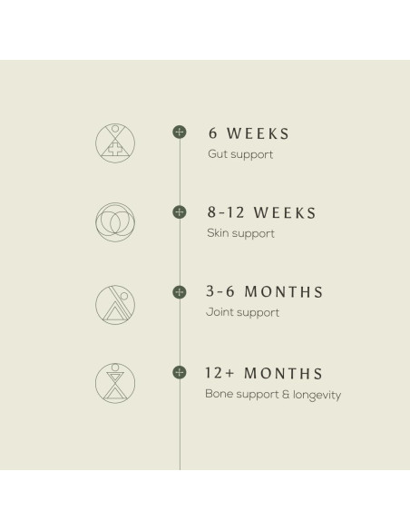 Colágeno Bovino Premium Ancient + Brave 200g - Tipo I - Piel y Articulaciones