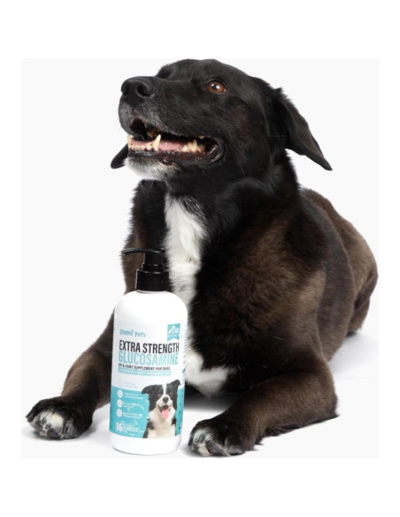 Glucosamina Líquida para Perros Zoomi Pets 473ml - Suplemento Articular