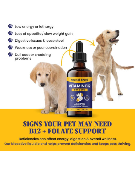 Vitamina B12 Líquida para Perros Special Breed 59 ml Sabor Pollo