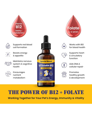 Vitamina B12 Líquida para Perros Special Breed 59 ml Sabor Pollo
