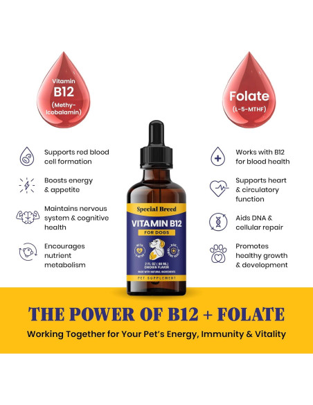 Vitamina B12 Líquida para Perros Special Breed 59 ml Sabor Pollo
