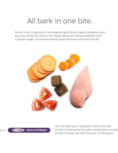 Suplemento Articular para Perros Pet Parents - 90 Masticables con Glucosamina y Mejillón de Labio Verde 2