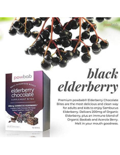 Bocados de Chocolate Orgánico 72% Cacao powbab con Saúco 2