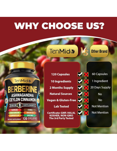 Suplemento de Berberina Tenmido 120 Cápsulas - Salud Digestiva y Inmunológica