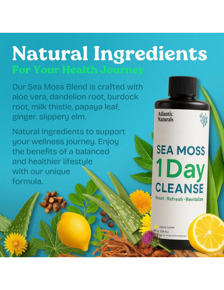 Limpieza Detox 1 Día Atlantic Naturals - Jugo Musgo Marino 236.6 ml