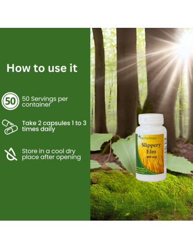 Té de Hierbas Sin Cafeína Rachel 30 Bolsitas + 100 Cápsulas