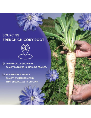 Raíz de Achicoria Francesa Orgánica Worldwide Botanicals 0.45 kg