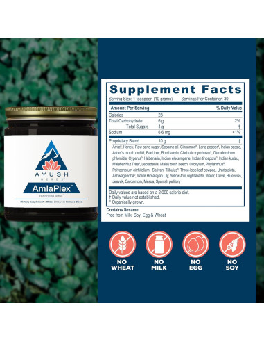 Mermelada Ayurvédica Ayush Herbs AmlaPlex 300g - Soporte Inmunológico