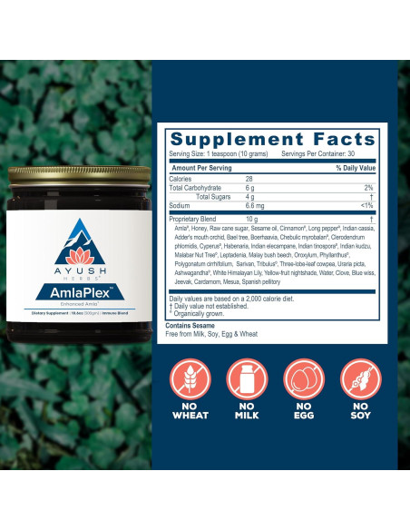 Mermelada Ayurvédica Ayush Herbs AmlaPlex 300g - Soporte Inmunológico