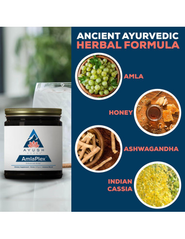 Mermelada Ayurvédica Ayush Herbs AmlaPlex 300g - Soporte Inmunológico