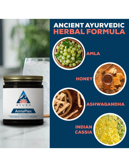 Mermelada Ayurvédica Ayush Herbs AmlaPlex 300g - Soporte Inmunológico