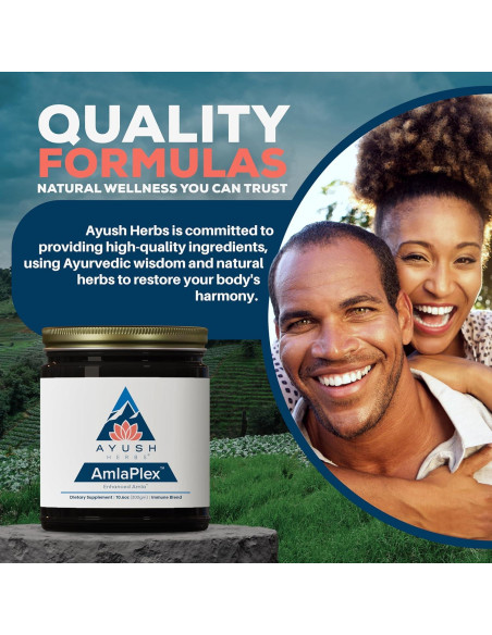 Mermelada Ayurvédica Ayush Herbs AmlaPlex 300g - Soporte Inmunológico