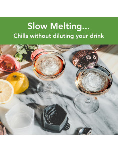 Set de 2 Moldes de Hielo en Forma de Rosa Tovolo - Silicona 2