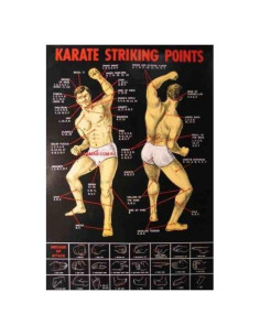 Póster de Puntos de Presión de Karate Lees 76.2 x 49.5 cm