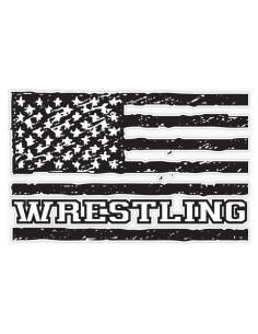 Imán Vinilo 5" (12.7 cm) Vision Graphics Lucha USA