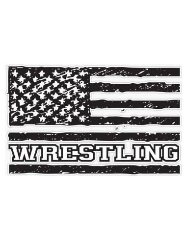 Imán Vinilo 5" (12.7 cm) Vision Graphics Lucha USA