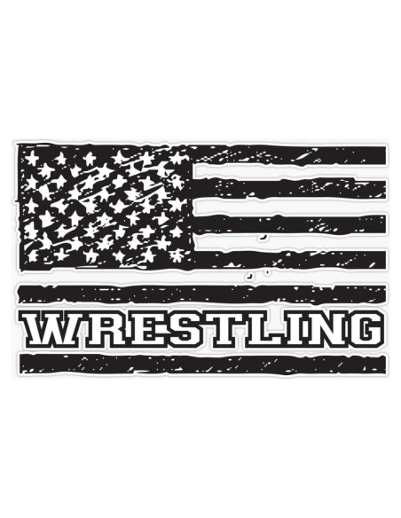 Imán Vinilo 5" (12.7 cm) Vision Graphics Lucha USA