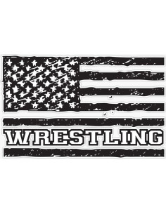 Imán Vinilo 5" (12.7 cm) Vision Graphics Lucha USA 2