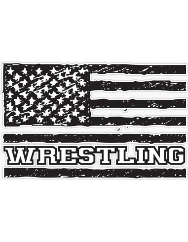 Imán Vinilo 5" (12.7 cm) Vision Graphics Lucha USA