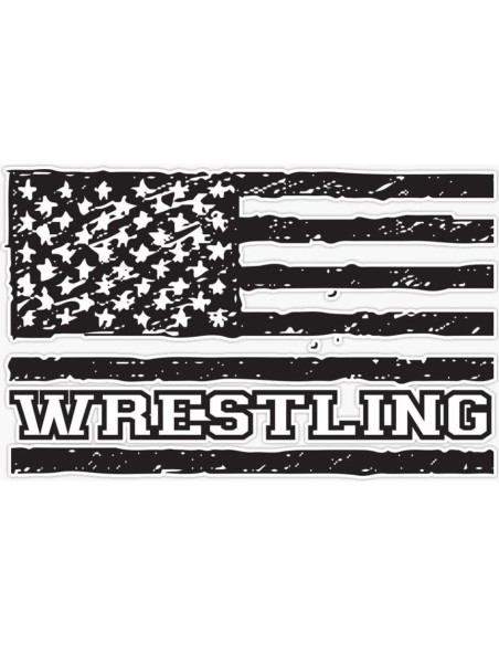 Imán Vinilo 5" (12.7 cm) Vision Graphics Lucha USA