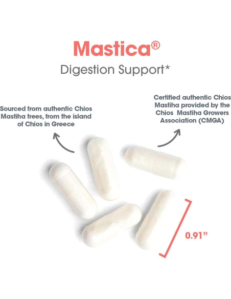 Cápsulas de Goma Mástica Arg - Suplemento Digestivo 240 Unidades