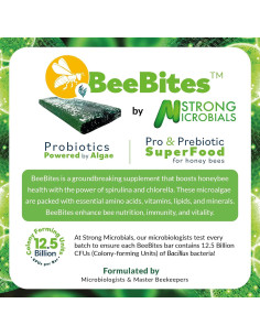BeeBites Superalimento para Abejas - Fondant con Espirulina y Chlorella - 10 Barras de 50g 2