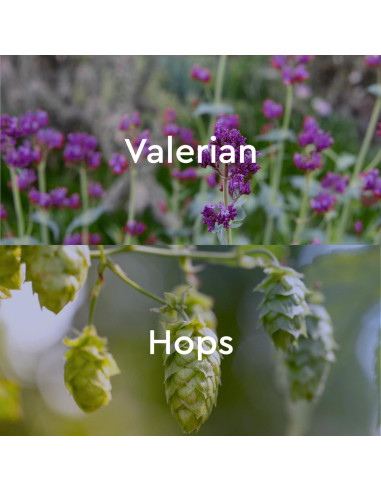 Aceite de Baño Kneipp Sueño Profundo 100 ml - Valeriana y Lúpulo