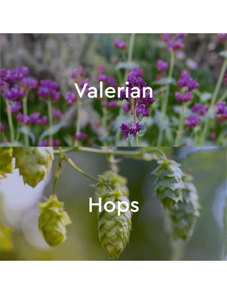 Aceite de Baño Kneipp Sueño Profundo 100 ml - Valeriana y Lúpulo